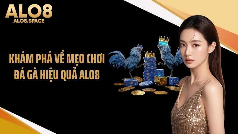 Khám phá về mẹo chơi đá gà hiệu quả ALO8